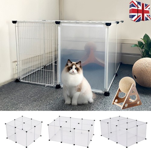 Diy pet dog cat play - dog,