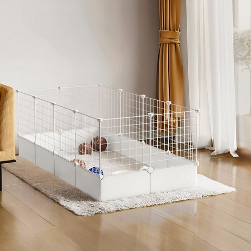 Pet dog play - play, panels