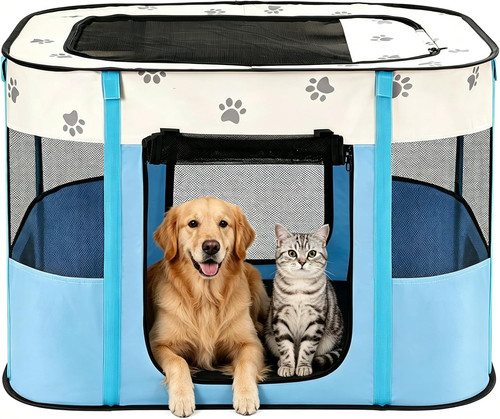 Portable pet puppy - puppy, dog