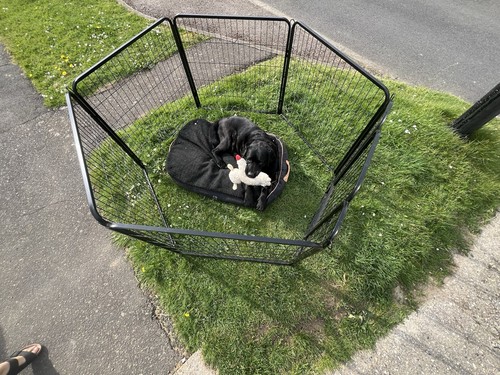 Dog pen by - pen, (modular)