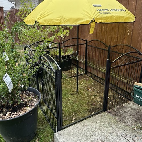 Indoor outdoor pet - indoor/outdoor, dog