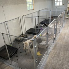 XL Panels Acrylic Dog Playpen