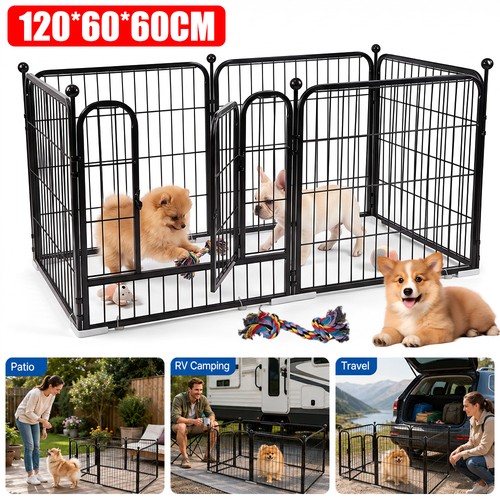 Dog playpen play - playpen,