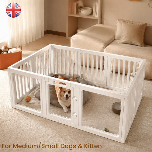 Clear acrylic dog - acrylic, /
