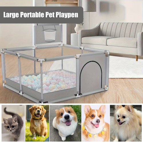 Large pet dog - pet, portable
