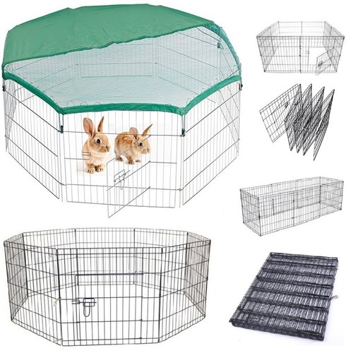 Dog puppy rabbit fowl birds - fowl,