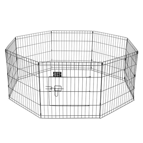 Medium pet puppy - pet,
